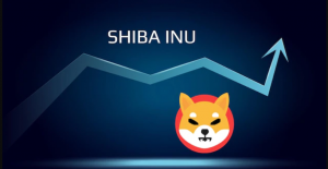 Mikä on Shiba Inu