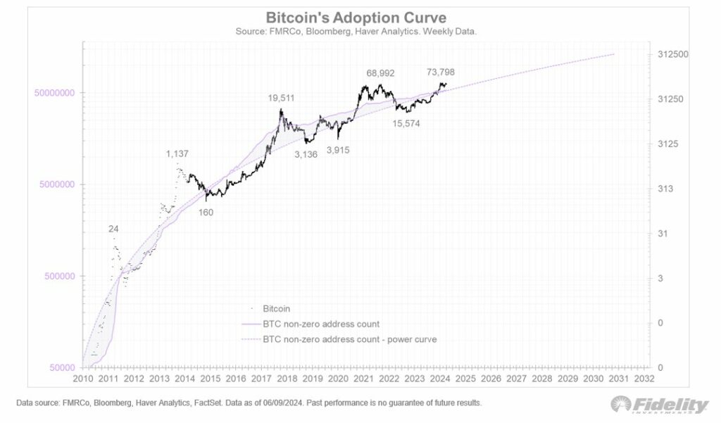 Bitcoinin-hyväksymiskäyrä