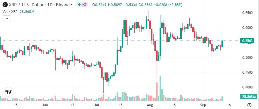 XRP-kasvoi-8%